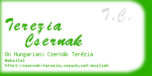 terezia csernak business card