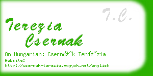 terezia csernak business card